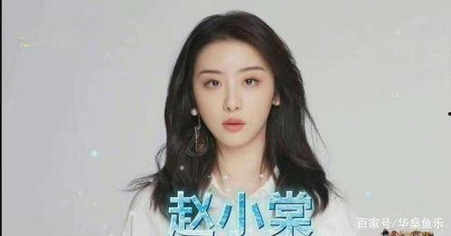 娱乐吃瓜赵小,娱乐吃瓜界的风云人物